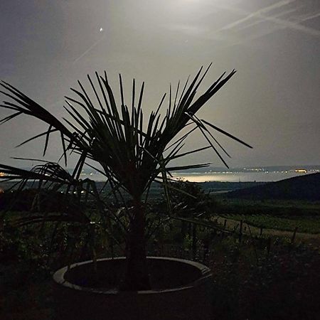 Вілла Panorama, Balaton Доржице Екстер'єр фото