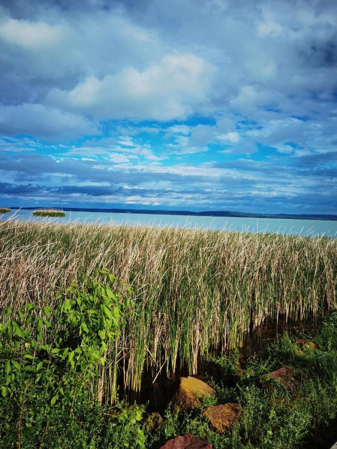 Вілла Panorama, Balaton Доржице Екстер'єр фото