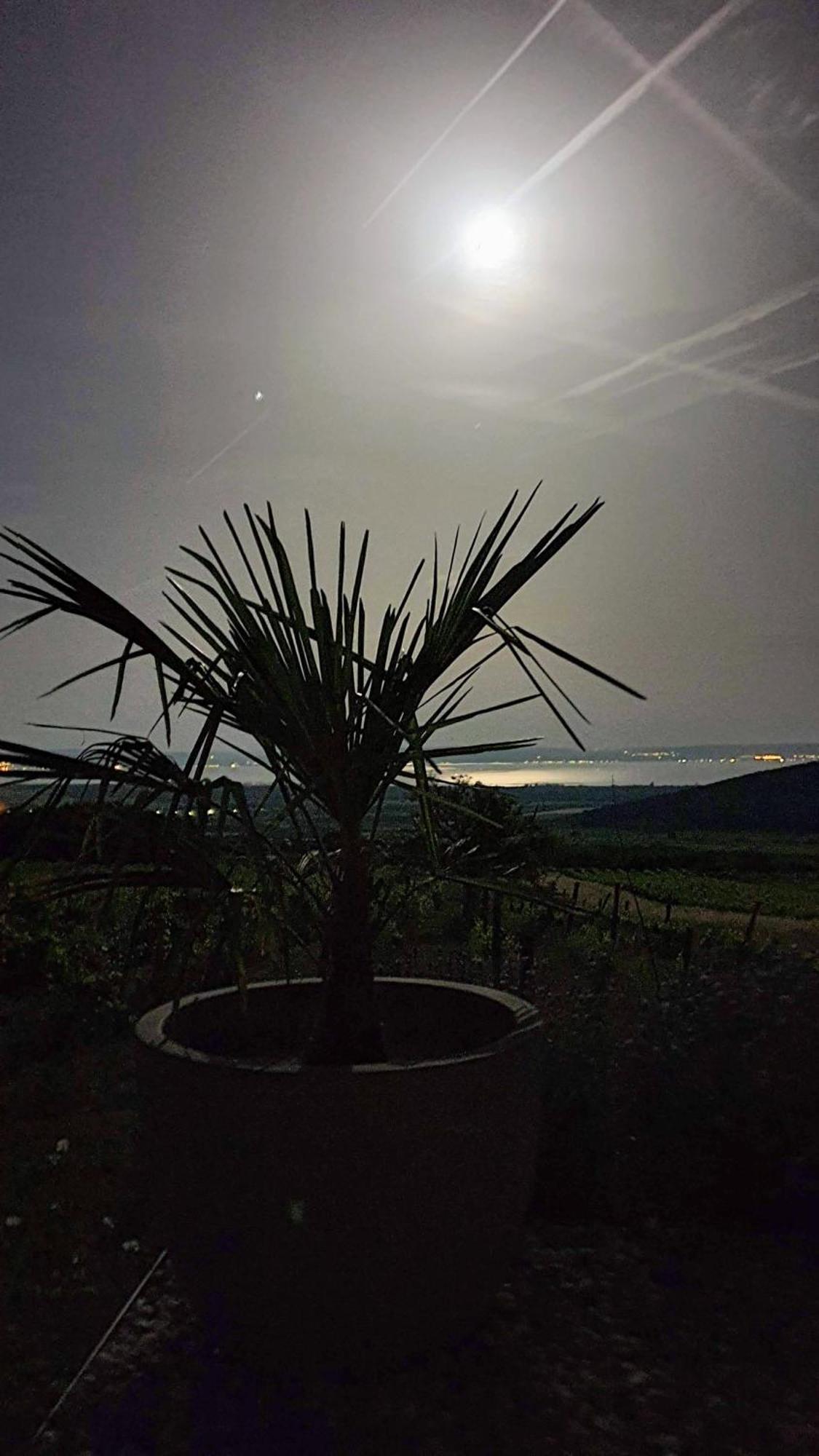 Вілла Panorama, Balaton Доржице Екстер'єр фото